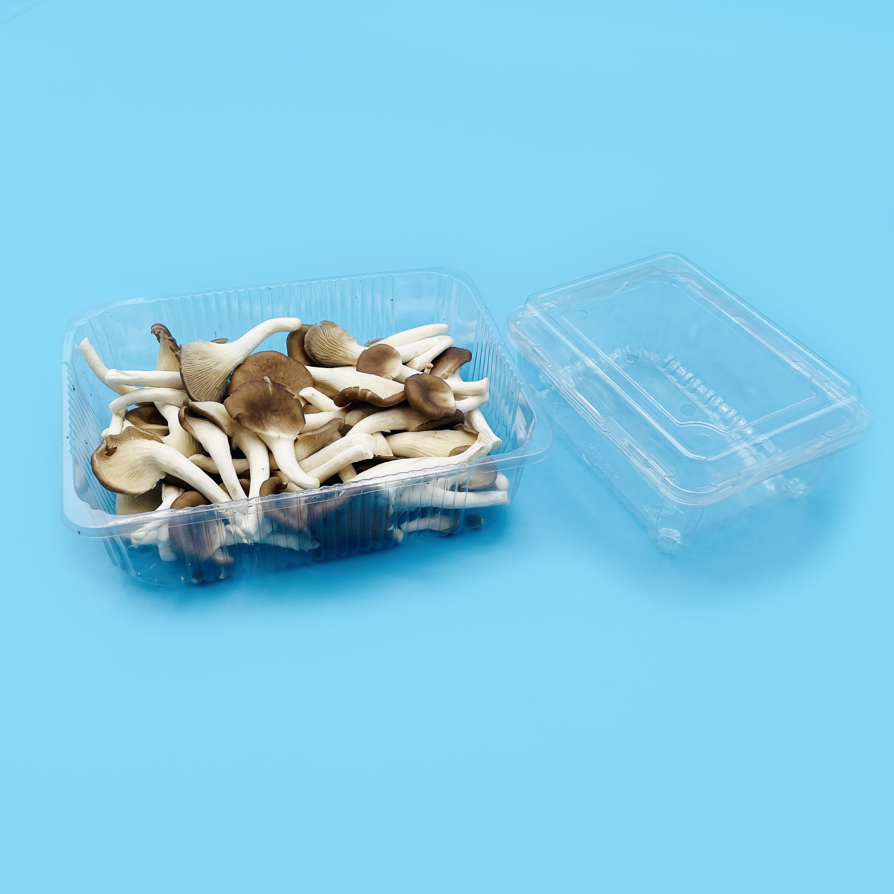 China Custom Vacuum Formed Food Tray