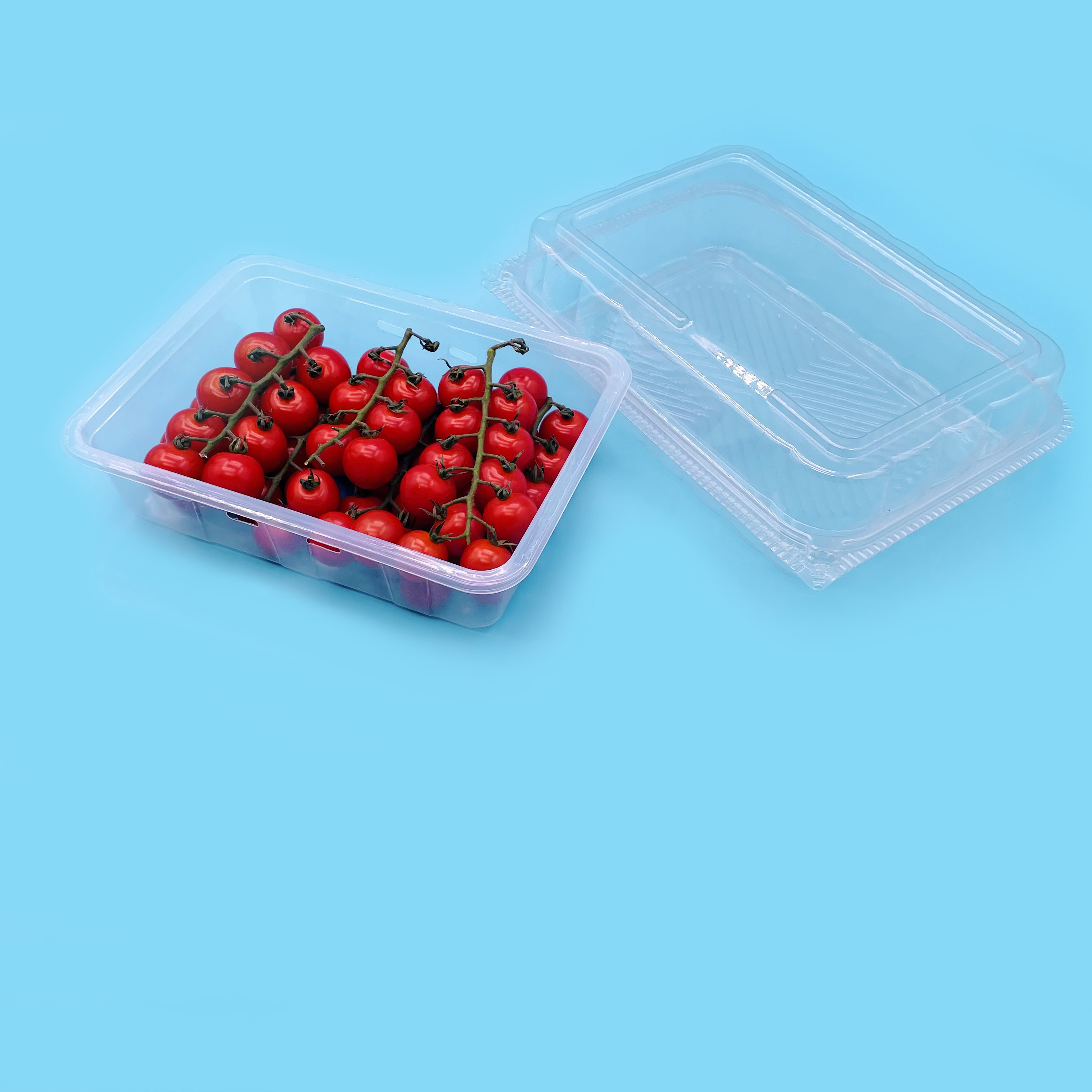 Customizable Disposable Fuirt and Vegetable Plastic Packaging Trays